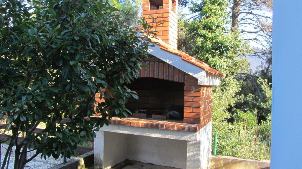 Sara Apartments Petrčane Zewnętrze zdjęcie